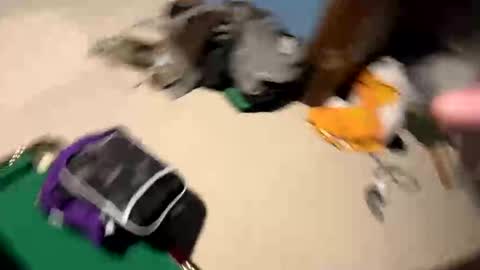 Yesspleasexxp online show from 11-17-25, 05:57