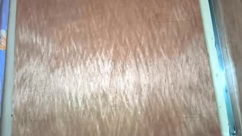 Snapshot of yhang_slut chatting on 11-30-25, 07:34 yhang_slut online show from 11-30-25, 07:34