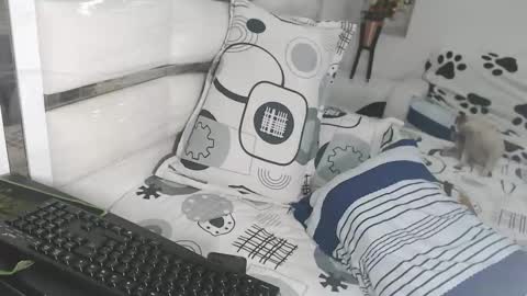 YINAROSS online show from 03-10-26, 09:09