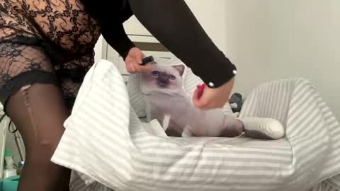 private on 18 per minute start private 500 tokensOnlyfans  online show from 02-01-25, 09:32