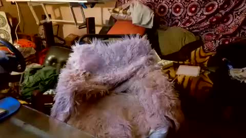 Taylor Tash online show from 10-20-25, 05:08