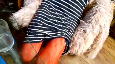 Taylor Tash online show from 12-01-25, 04:39