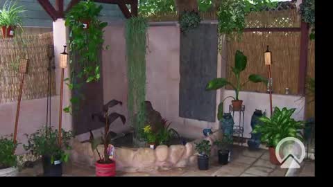 Sophiestar online show from 02-24-25, 10:26