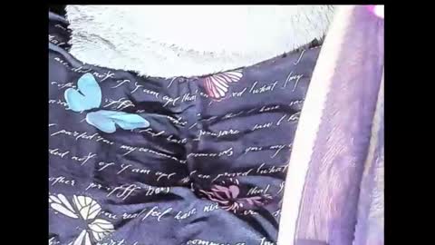 Snapshot of yukiodavis chatting on 10-10-25, 01:48 Yukio Davis online show from 10-10-25, 01:48