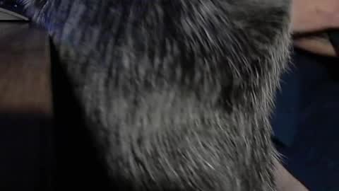 Snapshot of yumguy69 chatting on 09-17-25, 12:40 YumGuy69 online show from 09-17-25, 12:40