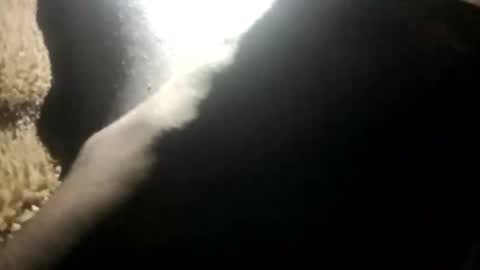 yung_boy42 online show from 11-16-25, 02:17