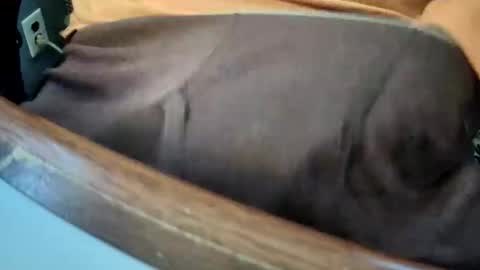 yuppers1234 online show from 12-19-25, 04:36