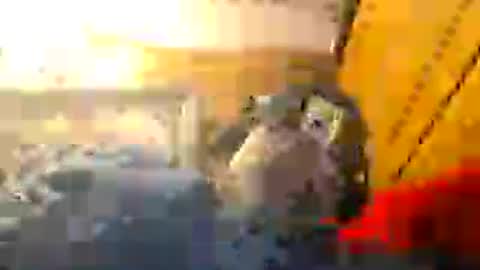 Snapshot of z0rl0c chatting on 08-01-26, 06:18 Z0RL0C online show from 08-01-26, 06:18