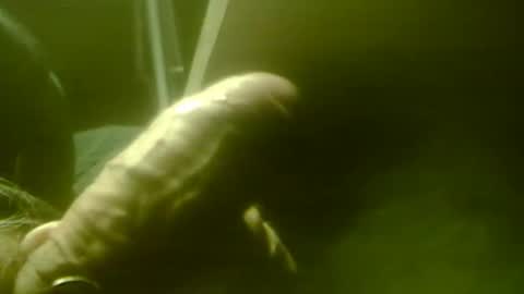 zaboski4 online show from 12-01-25, 08:52