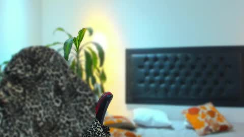 Snapshot of zachpri20 chatting on 09-24-25, 09:23 zachpri20 online show from 09-24-25, 09:23