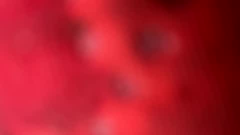 zachslime472 online show from 03-13-26, 02:45