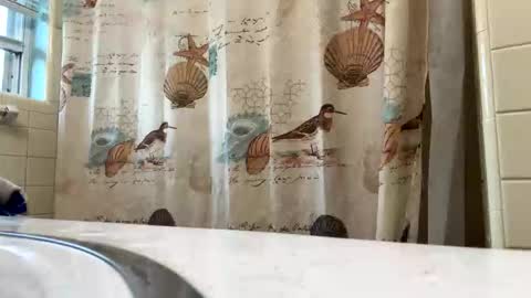 Snapshot of zaddykendoll chatting on 05-18-26, 11:43 Aiden online show from 05-18-26, 11:43