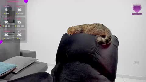 zafiralov online show from 12-05-25, 02:20