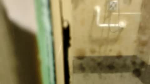 Snapshot of zaidmlake199 chatting on 02-09-26, 01:53 ZUL online show from 02-09-26, 01:53