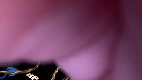 zapxxx69 online show from 03-16-26, 06:28