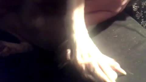 Snapshot of zeroandhero chatting on 03-07-25, 08:13 zero online show from 03-07-25, 08:13