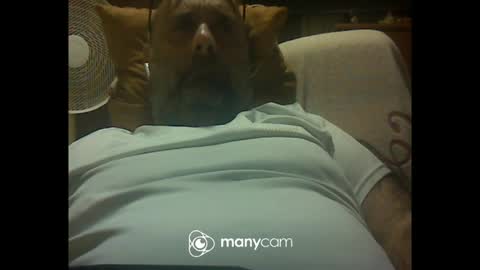 zeusdioss online show from 07-08-26, 12:48