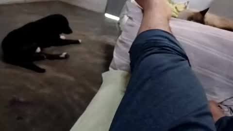 Snapshot of zitojose73 chatting on 10-08-25, 06:49 zitojose73 online show from 10-08-25, 06:49