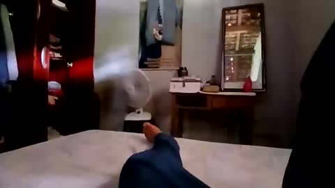 Snapshot of zitojose73 chatting on 11-04-25, 05:12 zitojose73 online show from 11-04-25, 05:12