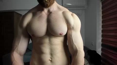 Snapshot of zkk123 chatting on 06-17-26, 08:50 Zack Blitz online show from 06-17-26, 08:50