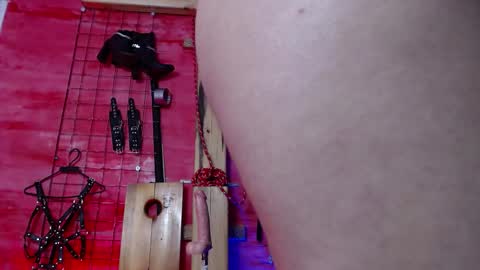 zoe_ferrer7 online show from 04-16-26, 09:04