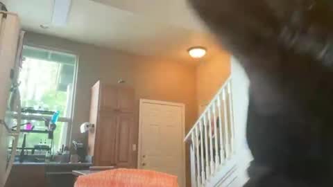 Snapshot of zoeydanner chatting on 02-17-26, 08:48 Zoeydanner online show from 02-17-26, 08:48