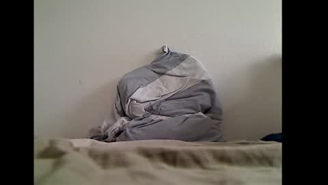 zwweener online show from 01-14-26, 12:33