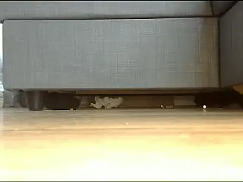 Squirtlady38 online show from 02-13-25, 01:26