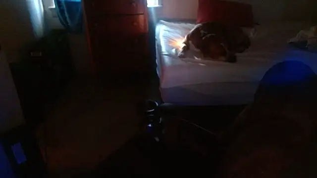 DADDY KANE8--- online show from 01-17-26, 09:29