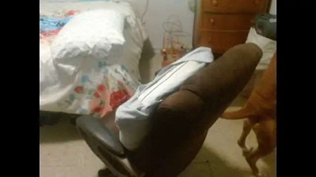 DADDY KANE8--- online show from 07-28-26, 04:39