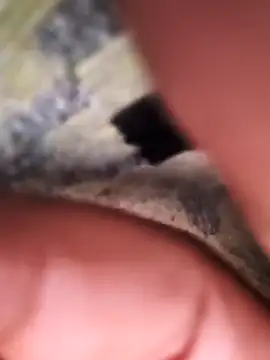 rajstrip12650 online show from 02-02-25, 11:53