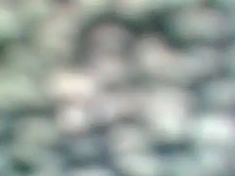 Helennahot online show from 04-21-26, 06:34