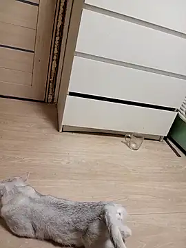 Linda Gregory online show from 02-18-26, 11:33