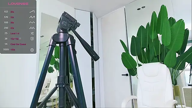 Snapshot of wowEva chatting on 01-31-25, 11:56 wowEva online show from 01-31-25, 11:56