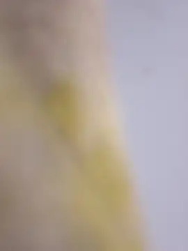 Mane leet online show from 01-14-26, 01:50