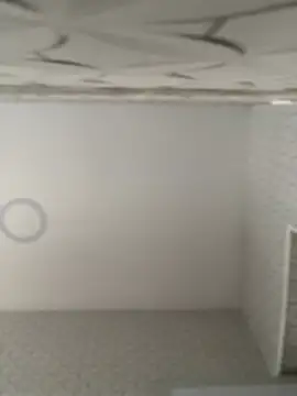 Lia flowers online show from 02-09-25, 10:43