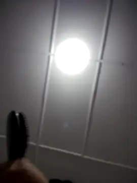 Lia flowers online show from 11-02-25, 12:35