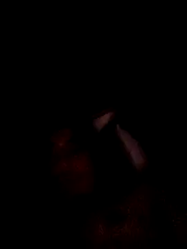 hungpenis210 online show from 02-23-26, 10:23