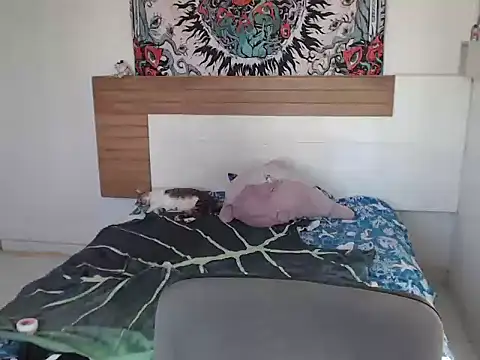 Snapshot of Margarita999 chatting on 01-09-25, 05:43 Margarita999 online show from 01-09-25, 05:43