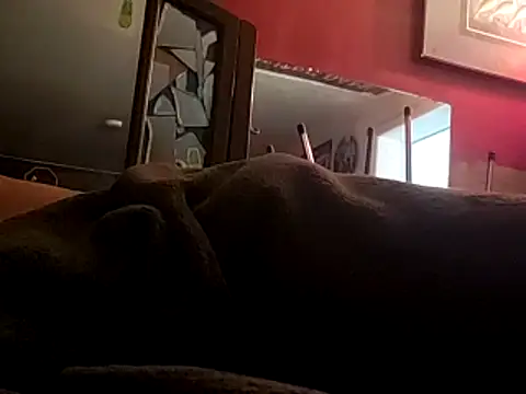 JRock69nKzoo online show from 11-12-25, 11:54