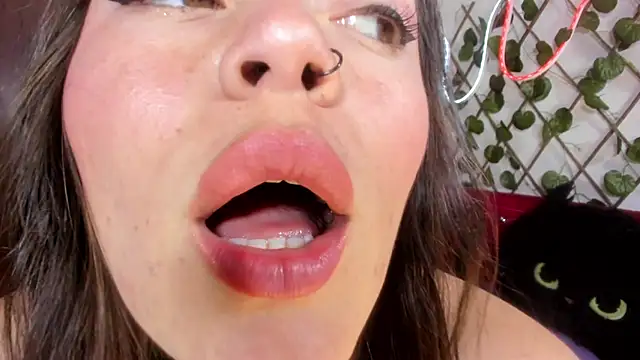  kalypso  online show from 02-22-26, 05:44