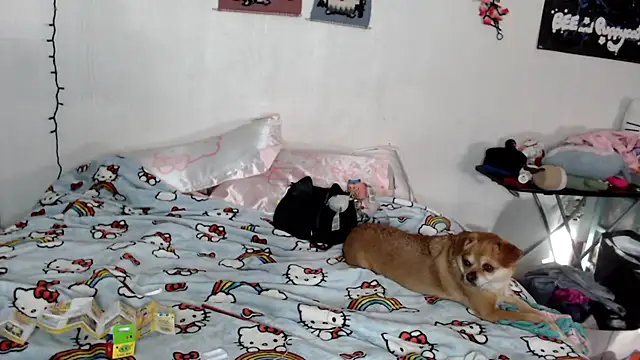 Cupcakecutie449 online show from 03-05-26, 07:43