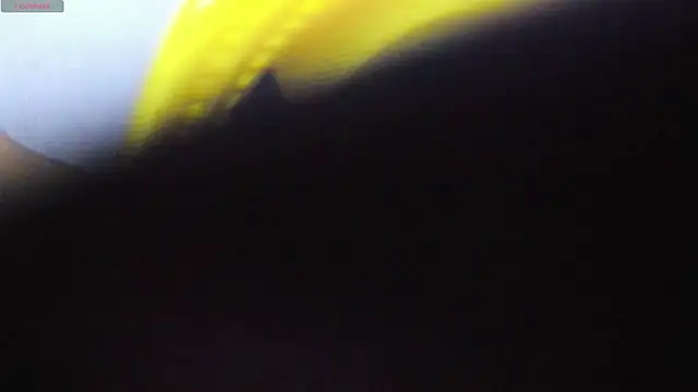 Alice bloom  online show from 01-13-26, 05:57