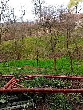 Medelin92 online show from 04-03-26, 05:49