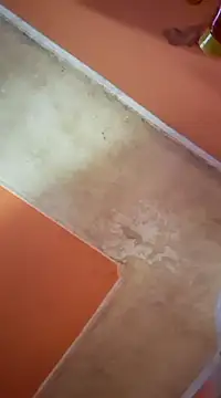 ducicsajsziii online show from 03-16-25, 07:26