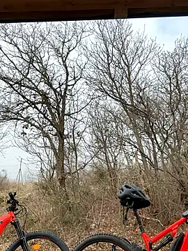 petrouchkaaa  online show from 03-02-26, 09:38