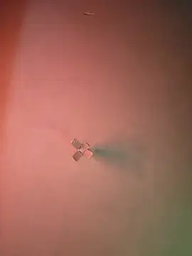 Snapshot of Ricorry@xh chatting on 09-09-25, 05:07 Ricorryxh online show from 09-09-25, 05:07