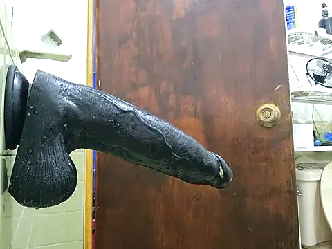 Snapshot of Ricorry@xh chatting on 09-18-25, 04:14 Ricorryxh online show from 09-18-25, 04:14