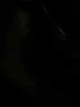 RoodoggXL online show from 03-22-25, 03:20