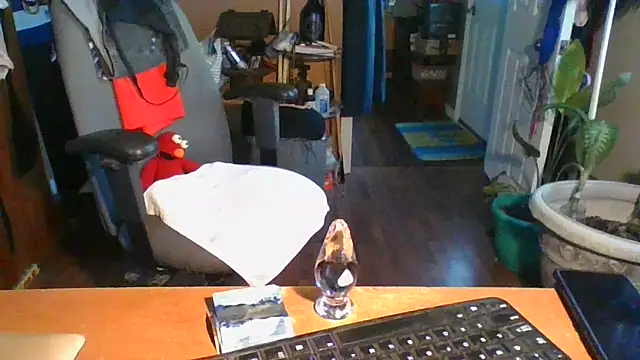 Daremeknot online show from 12-31-24, 02:25